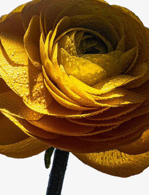 About image
